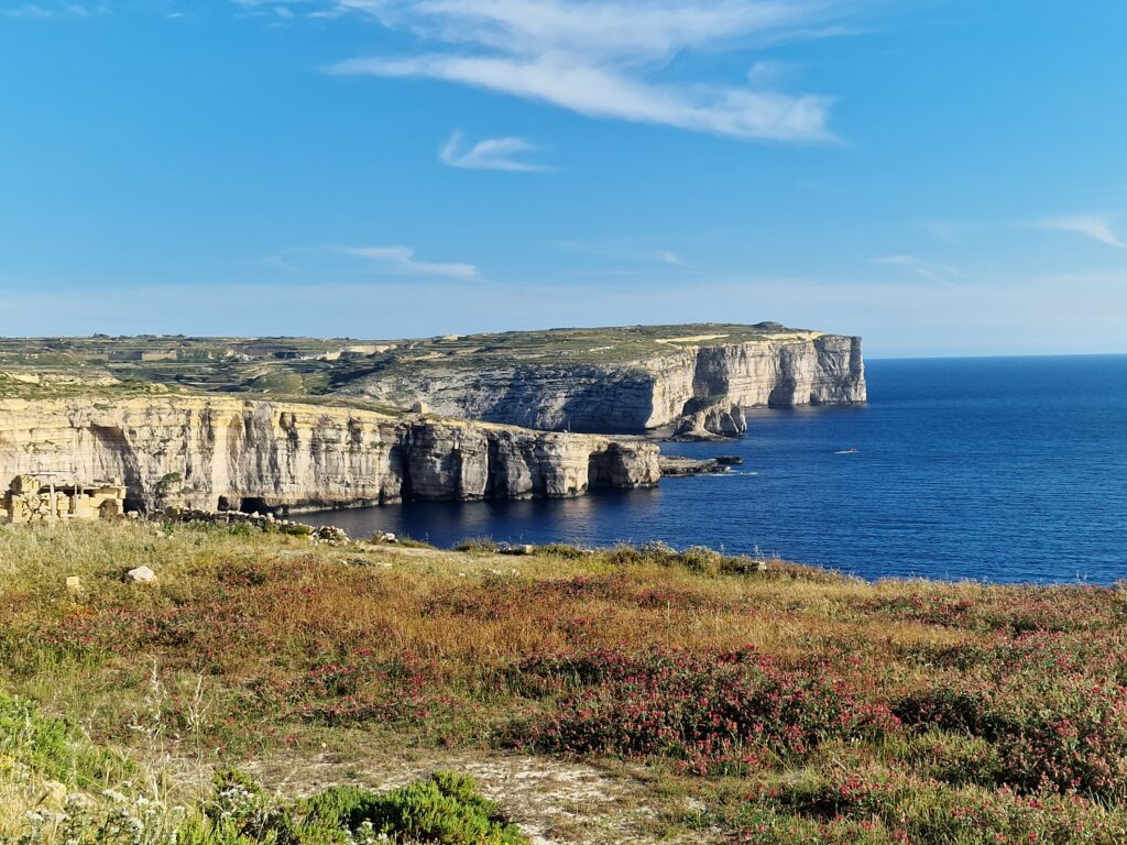 dwejra gozo malta birding tours