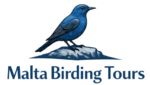 malta birding tours logo simple hr transparent