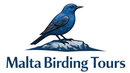 malta birding tours logo simple hr transparent